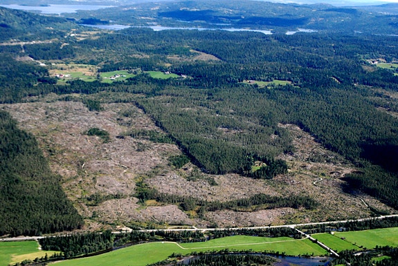 Bilde 1 av 1 i jobbannonse-galleriet