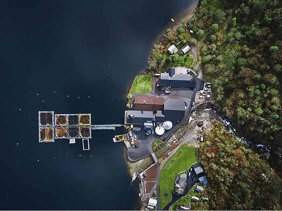 Bilde 5 av 6 i jobbannonse-galleriet