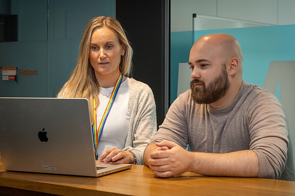 Bilde 2 av 5 i jobbannonse-galleriet