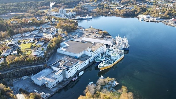 Bilde 5 av 5 i jobbannonse-galleriet