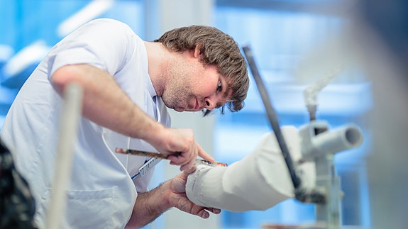 Bilde 2 av 3 i jobbannonse-galleriet