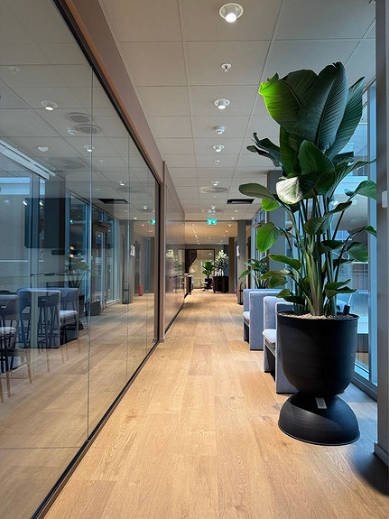 Bilde 4 av 14 i jobbannonse-galleriet