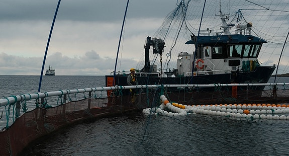 Bilde 6 av 6 i jobbannonse-galleriet