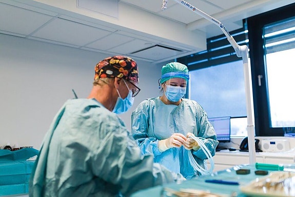 Bilde 3 av 6 i jobbannonse-galleriet