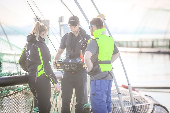 Bilde 2 av 4 i jobbannonse-galleriet