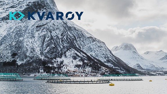 Bilde 1 av 2 i jobbannonse-galleriet