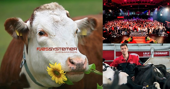 Bilde 1 av 7 i jobbannonse-galleriet