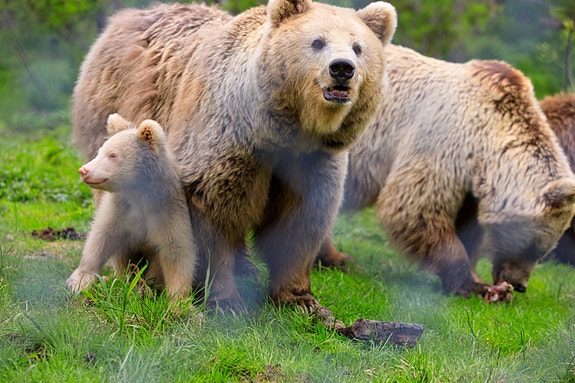 Bilde 1 av 4 i jobbannonse-galleriet