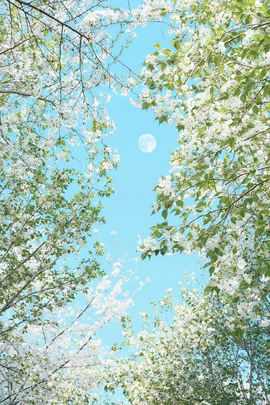 Bilde 1 av 1 i jobbannonse-galleriet