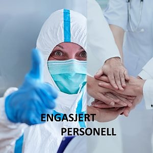 Bilde 3 av 3 i jobbannonse-galleriet