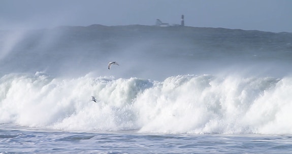 Bilde 6 av 10 i jobbannonse-galleriet