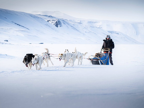 Bilde 3 av 8 i jobbannonse-galleriet