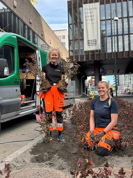 Bilde 1 av 2 i jobbannonse-galleriet