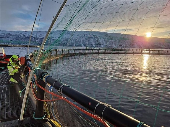 Bilde 1 av 4 i jobbannonse-galleriet