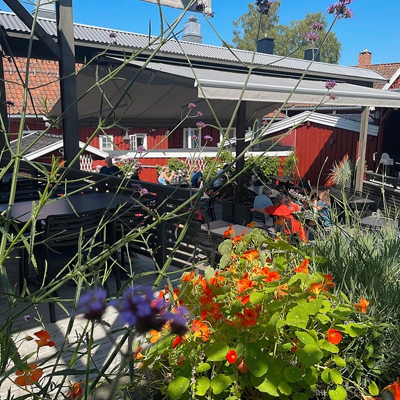 Stemningsbilde fra bakgården