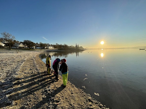 Bilde 3 av 3 i jobbannonse-galleriet