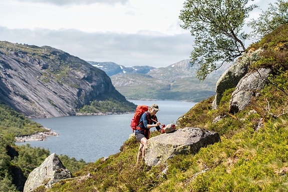 Turen starter med T. Den røde Ten er selve symbolet på turistforeningen. Foto: Maren Tvedt.