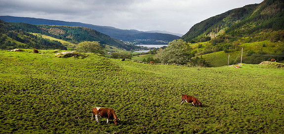 Landskap frå Mjeldalen til Haus