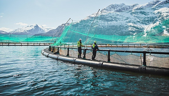 Bilde 6 av 6 i jobbannonse-galleriet