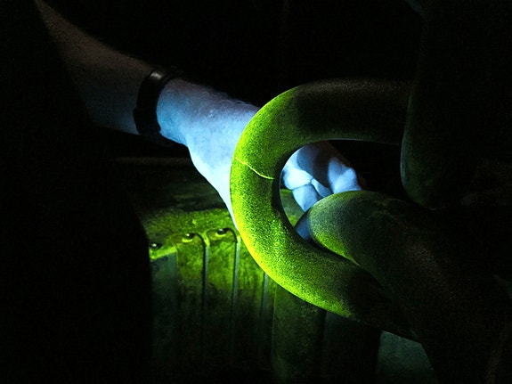 Bilde 2 av 4 i jobbannonse-galleriet