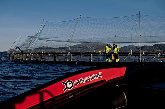 Bilde 1 av 1 i jobbannonse-galleriet