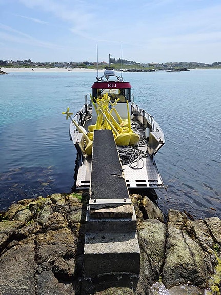 Bilde 2 av 2 i jobbannonse-galleriet