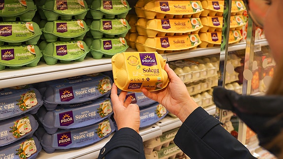 Bilde 6 av 8 i jobbannonse-galleriet