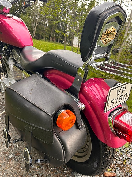 Harley-Davidson XL 883 Sportster 14 of 21