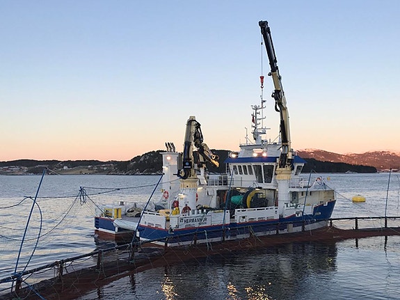 Bilde 1 av 1 i jobbannonse-galleriet