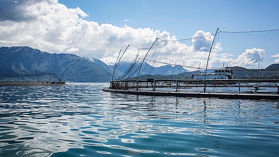 Bilde 4 av 4 i jobbannonse-galleriet