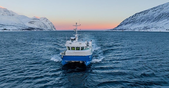 Bilde 1 av 4 i jobbannonse-galleriet