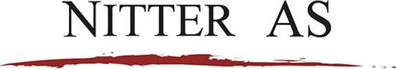 StudentConsulting logo