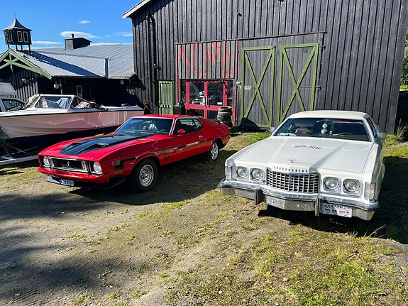 Ford Thunderbird 5 of 15