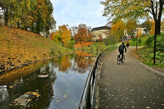 Bilde 1 av 1 i jobbannonse-galleriet