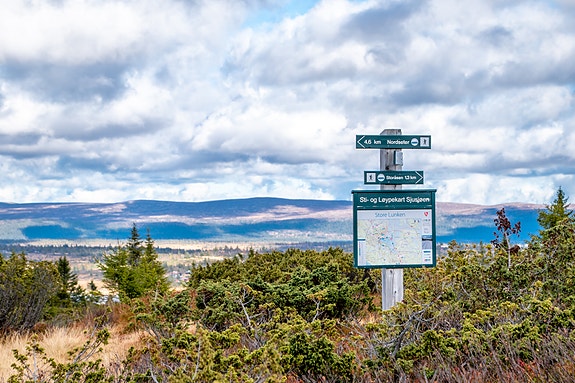 Foto: Ingvild Vestheim