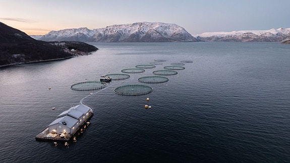 Bilde 1 av 4 i jobbannonse-galleriet