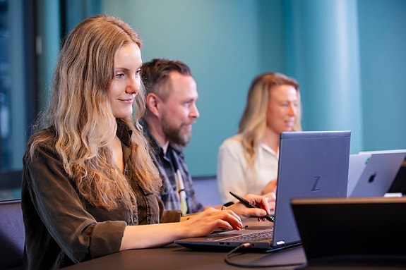 Bilde 2 av 4 i jobbannonse-galleriet