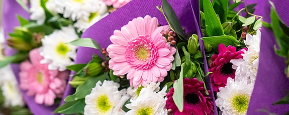 Bilde 1 av 1 i jobbannonse-galleriet