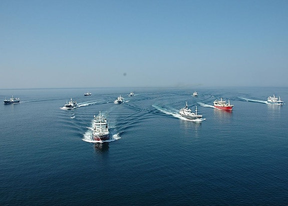 Bilde 1 av 2 i jobbannonse-galleriet