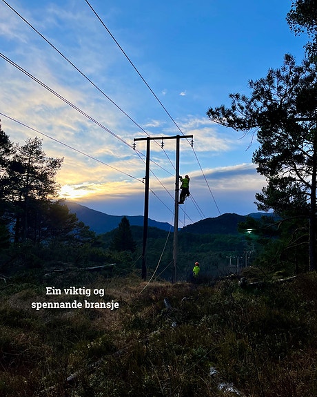 Bilde 2 av 10 i jobbannonse-galleriet