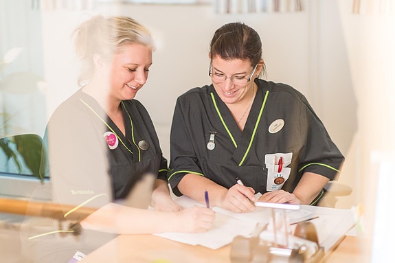 Bilde 2 av 6 i jobbannonse-galleriet