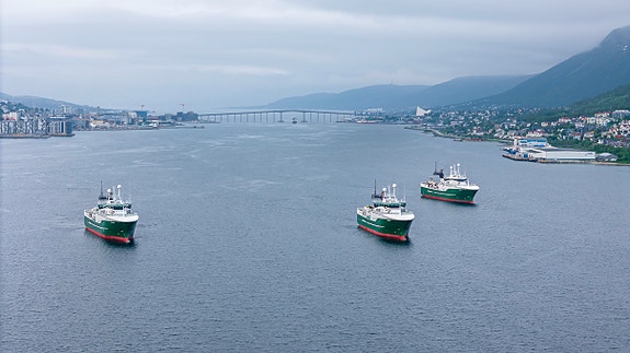 Bilde 4 av 6 i jobbannonse-galleriet