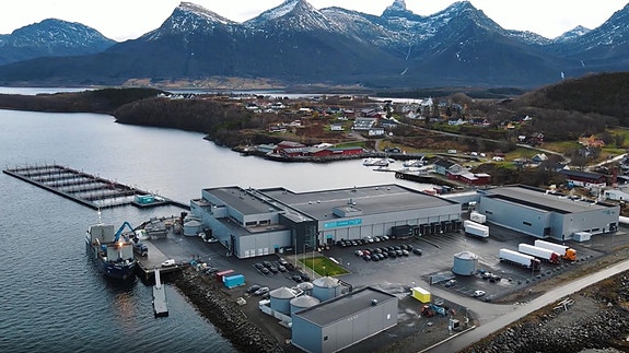 Bilde 1 av 2 i jobbannonse-galleriet