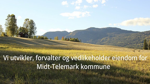 Bilde 1 av 1 i jobbannonse-galleriet