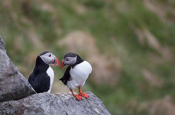 Bilde 3 av 7 i jobbannonse-galleriet