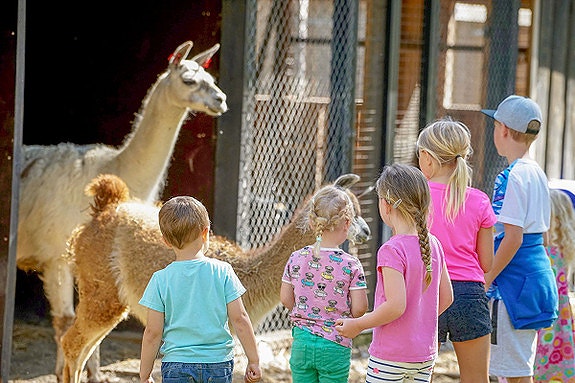 Bilde 1 av 4 i jobbannonse-galleriet