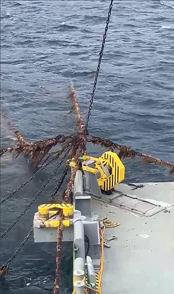 Bilde 3 av 8 i jobbannonse-galleriet