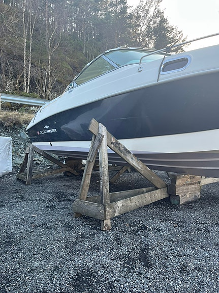 Oceanmaster 660br med Evinrude 200ho 12 of 30