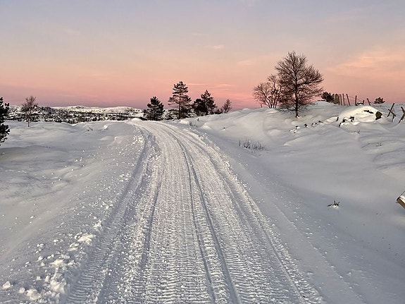 Bilde 10 av 10 i jobbannonse-galleriet