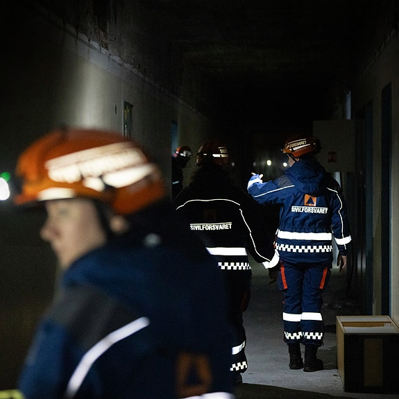 Aust-Agder sivilforsvarsdistrikt er oppsatt med 210 tjenestepliktige mannskaper i 8 operative avdelinger.